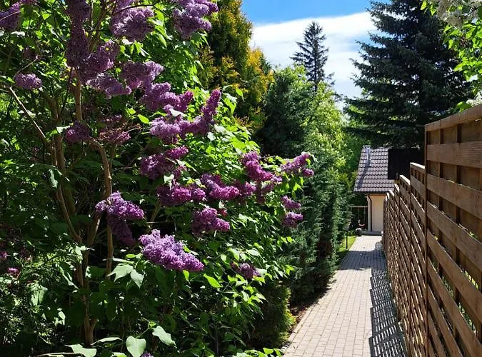 Antonowka Holiday home